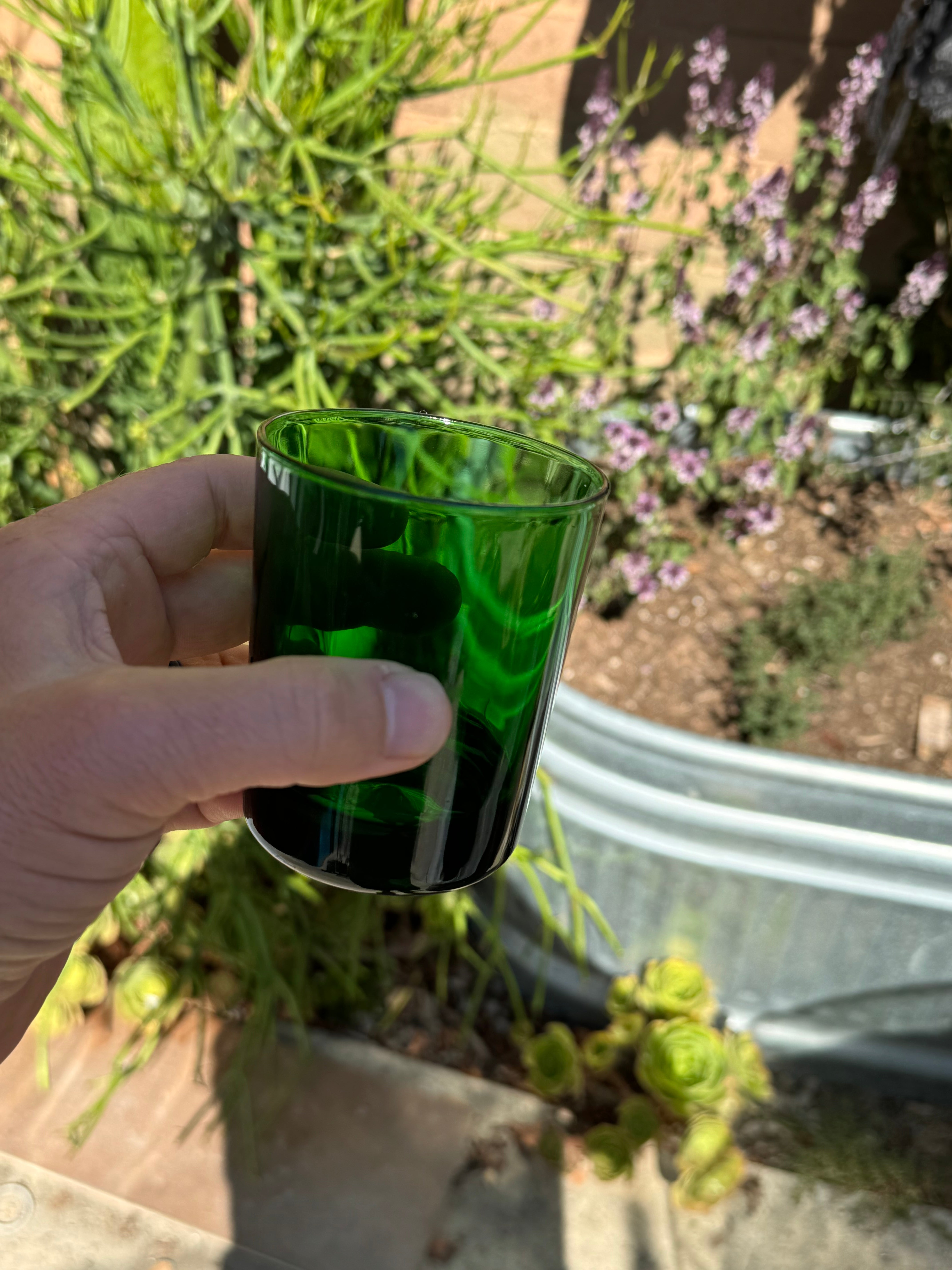 Green, made in France - 8oz glasses, sold as singles